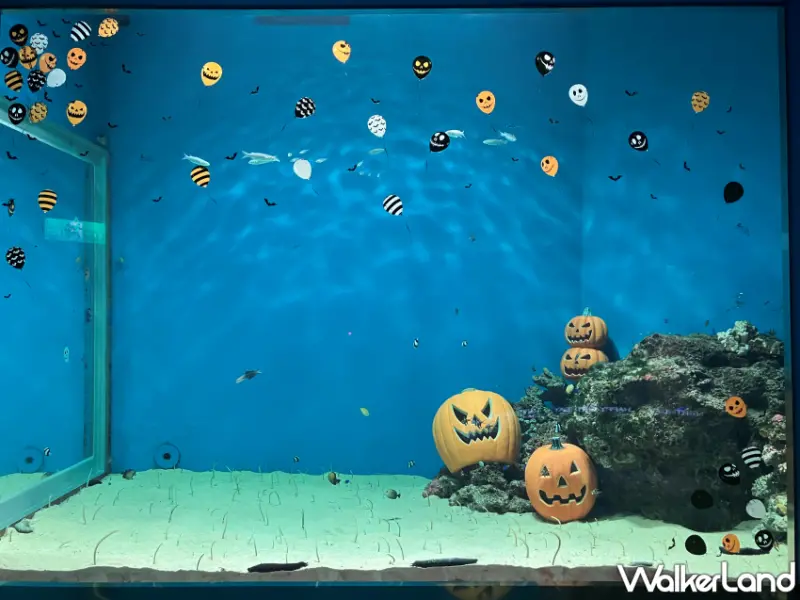 Xpark五大展區10月限定體驗搶先看！Xpark秋冬主題展，生態寶寶成長故事、萬聖節限定裝飾搶先曝光。