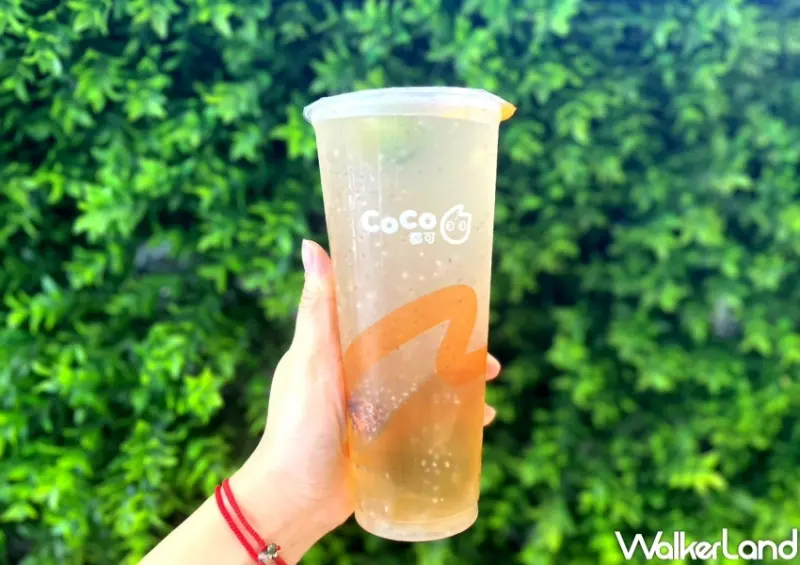 CoCo 人氣排行榜Top 5 / WalkerLand窩客島提供 未經許可，不得轉載