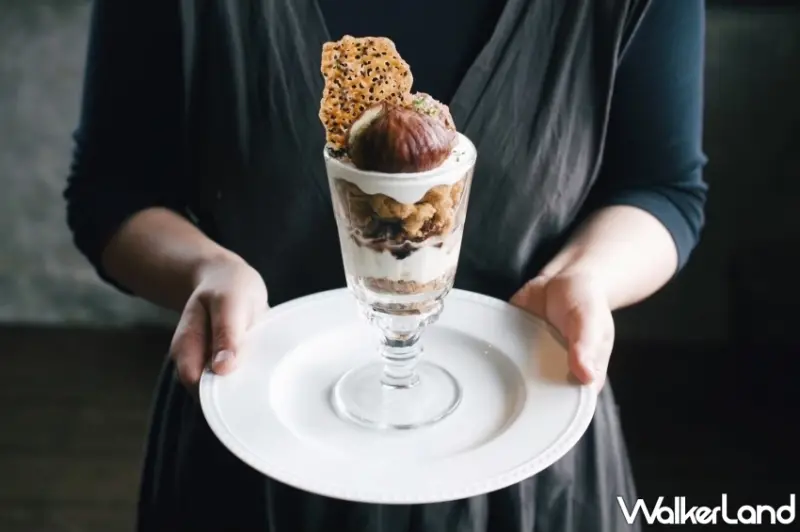 九州秋日旅遊推薦！小林市波斯菊祭與紅葉絕景，結合當地美食與水果採摘、探索隱藏在自然中的精彩假期。