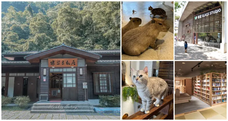 新竹5大室內景點！隱藏版「百年日式老宅、超萌水豚貓咖」下雨天也能玩。/ WalkerLand窩客島整理提供 未經許可不可轉載