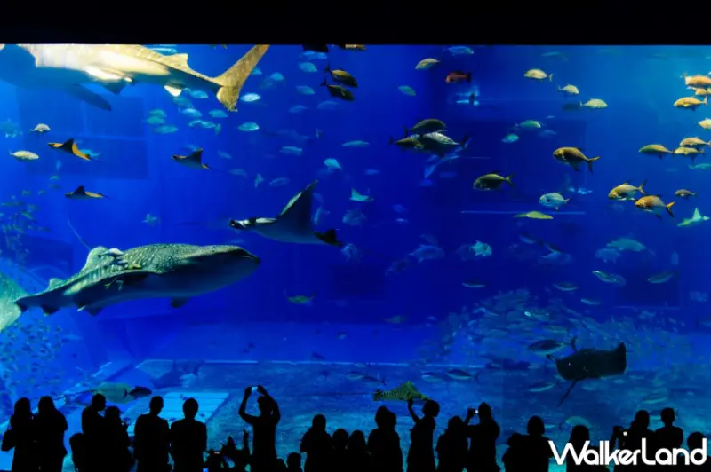 五福旅遊2024 ITF台北國際旅展亮點搶先看！日本、韓國、越南，第二人最高減10,000元。