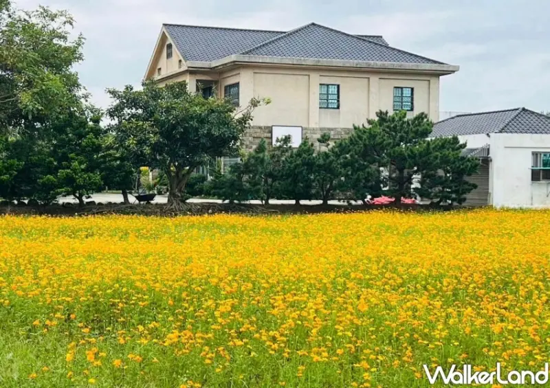 2024花現中壢農遊趣 / WalkerLand窩客島整理提供 未經許可不可轉載。