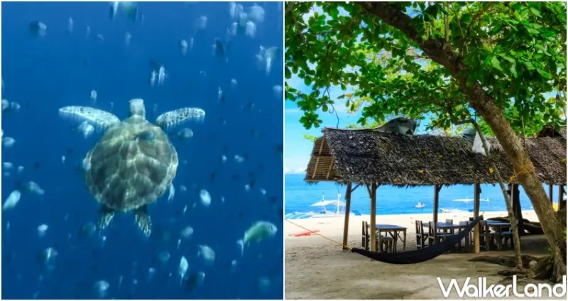 菲律賓海陸行程推薦 / WalkerLand窩客島提供 未經許可，不得轉載