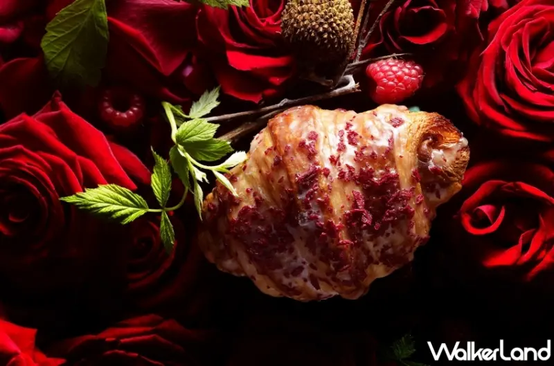 可頌必吃限定款！PIERRE HERMÉ PARIS十月可頌祭，信義A9外帶買三送一。