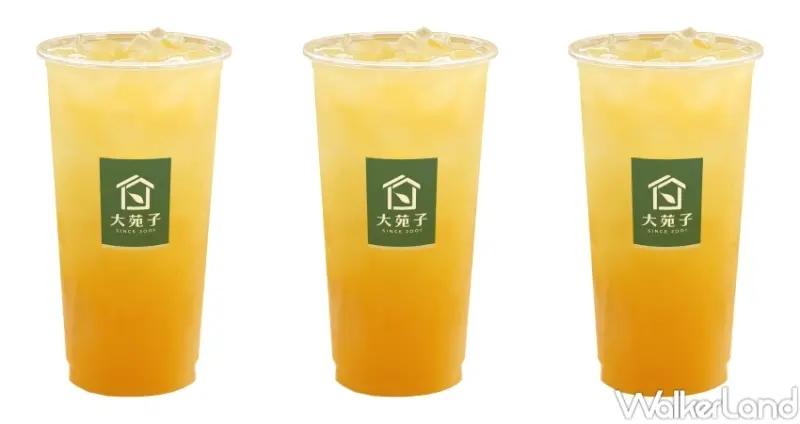 大苑子 台灣鮮搾柳丁綠 / WalkerLand窩客島提供 未經許可，不得轉載