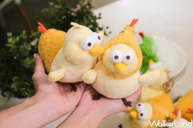 定食8Ｘ床編故事  / WalkerLand窩客島提供 未經許可，不得轉載