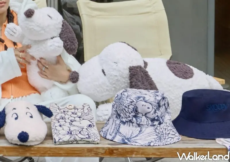 康是美史努比加價購/ WalkerLand窩客島整理提供 未經許可不可轉載。