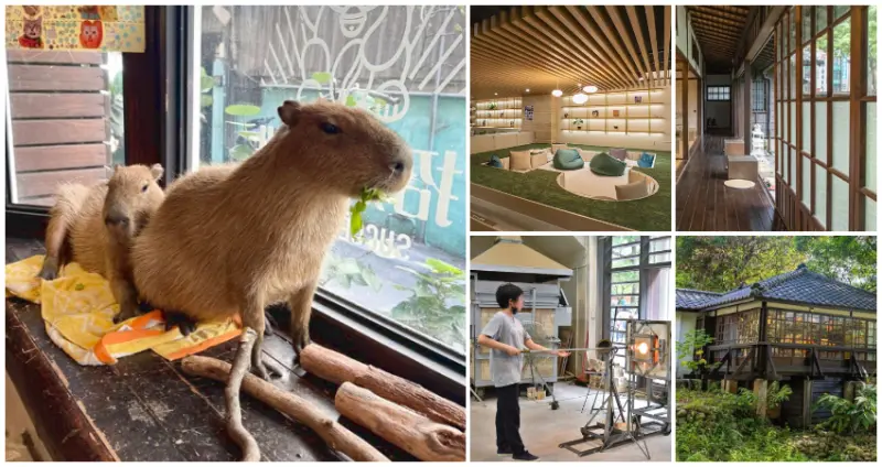 新竹5大室內景點！隱藏版「百年日式老宅、超萌水豚貓咖」下雨天也能玩。/ WalkerLand窩客島整理提供 未經許可不可轉載