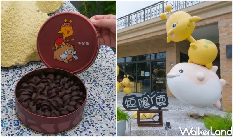 花蓮文青三天兩夜行程推薦 / WalkerLand窩客島提供 未經許可，不得轉載