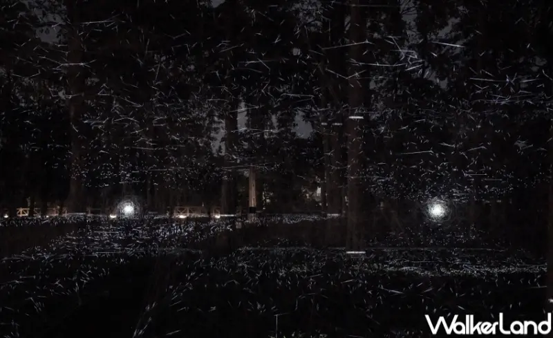 台東光祭－ 自然光域 / WalkerLand窩客島提供 未經許可，不得轉載