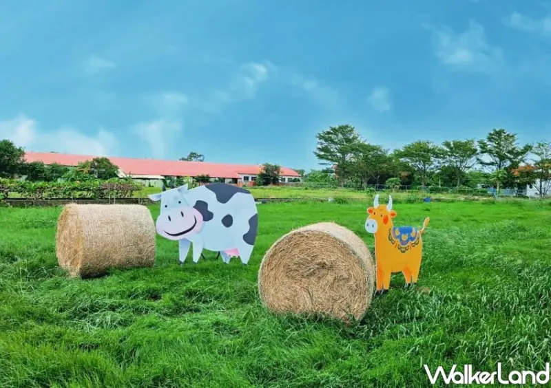 2024花現中壢農遊趣 / WalkerLand窩客島整理提供 未經許可不可轉載。