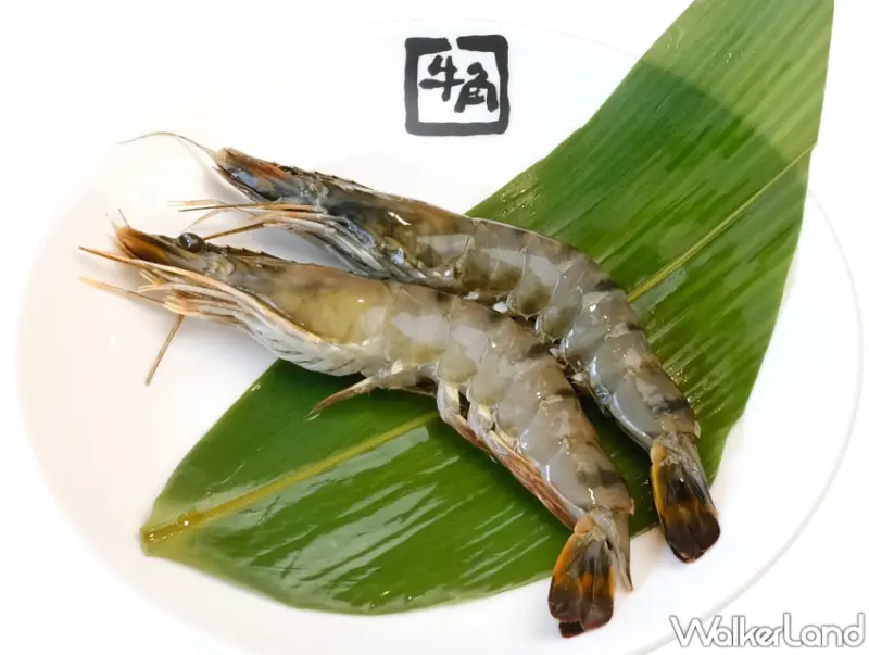 牛角牛舌吃到飽！牛角燒肉推出「歡樂方案」親民價，牛舌吃到飽、極上燒肉全新菜單同步升級。