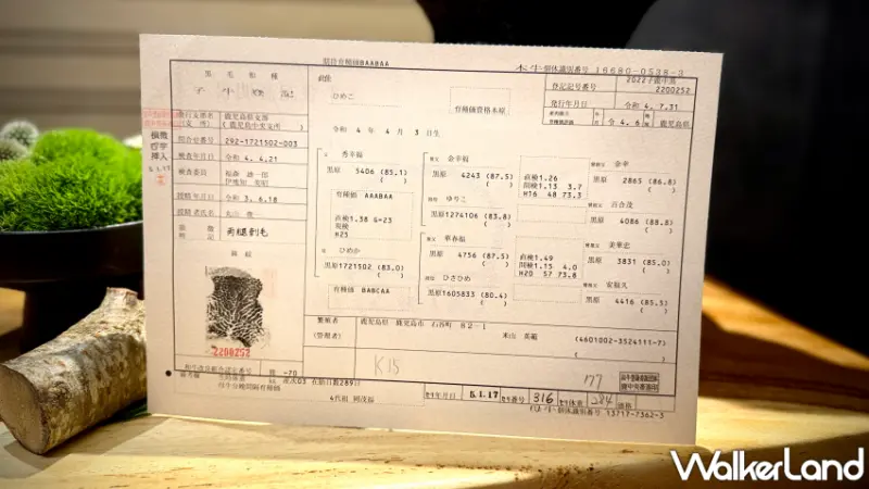 挑戰錢包接受度！三燔本家推出「柿安真珠牛究極之宴」每人8,800元，品嚐柿安真珠牛。