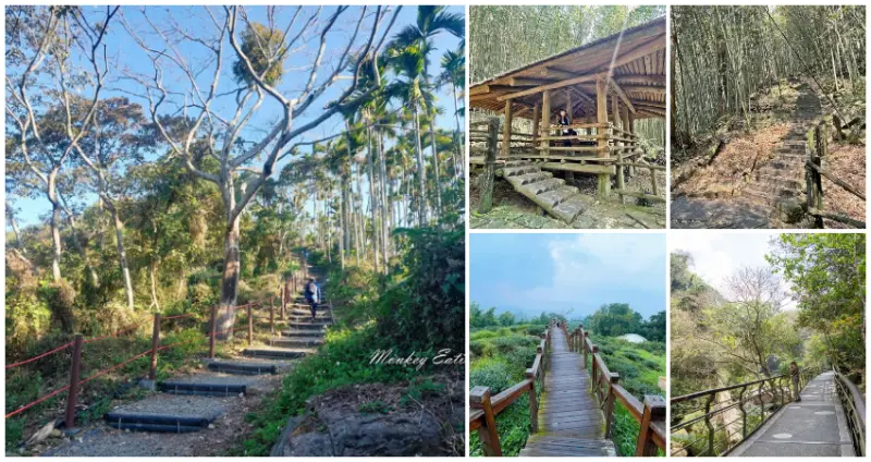  嘉義自然景點7選！IG必拍「隱藏版竹林隧道、360度環景景觀台」小孩也能輕鬆完攻。/ WalkerLand窩客島整理提供 未經許可不可轉載