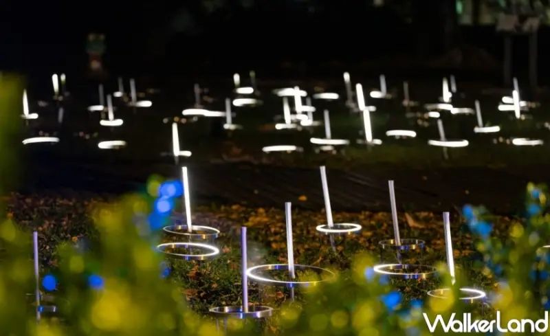 台東光祭－ 自然光域 / WalkerLand窩客島提供 未經許可，不得轉載