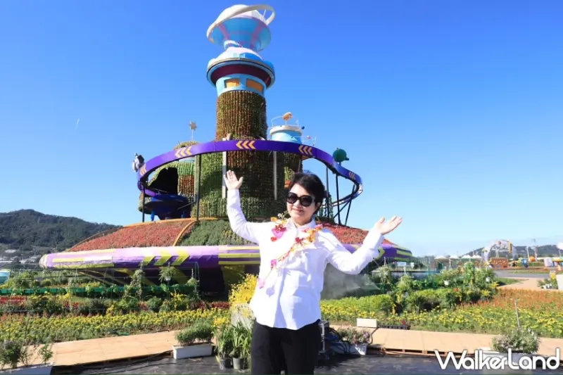 台中新社花毯節登場！7大展區、20萬株花草、23種花卉、交通路線，一次完整公開。