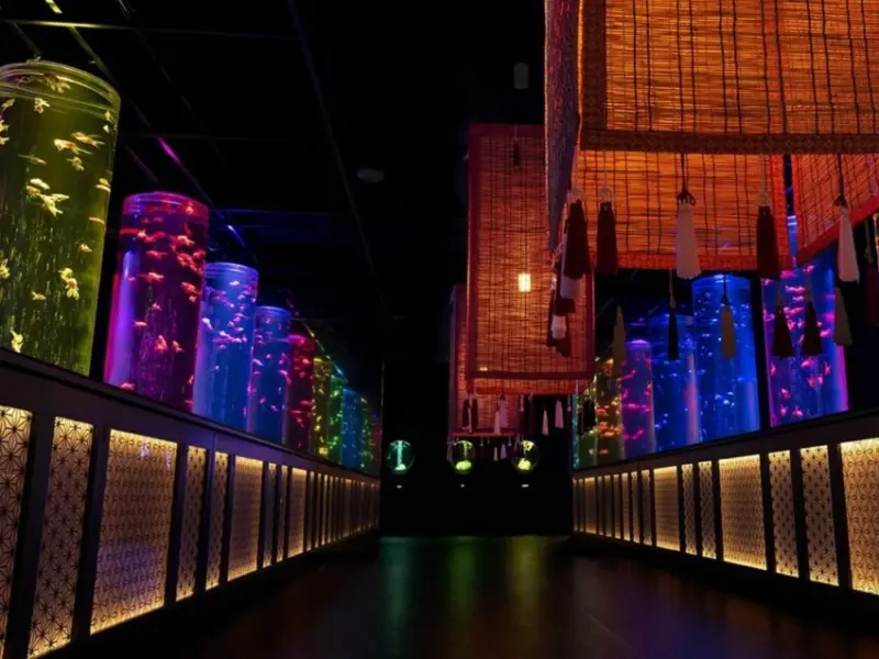 台北金魚藝術展 Art Aquarium in Taipei / WalkerLand窩客島整理提供 未經許可不可轉載。