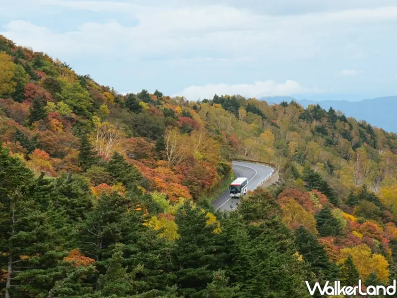 福島磐梯吾妻Skyline / WalkerLand窩客島整理提供 未經許可不可轉載。