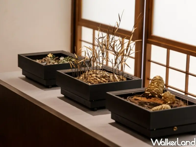 找一步Hike and Seek－山海圳跨界創作展 / WalkerLand窩客島整理提供 未經許可不可轉載。