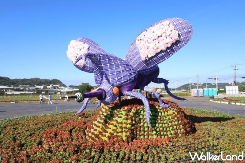 台中新社花毯節登場！7大展區、20萬株花草、23種花卉、交通路線，一次完整公開。