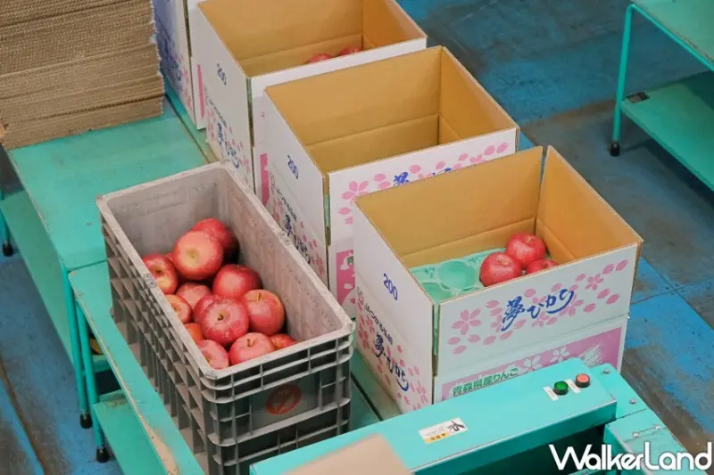 家樂福 青森蘋果季 / WalkerLand窩客島整理提供 未經許可不可轉載。