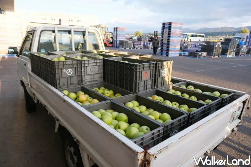 家樂福 青森蘋果季 / WalkerLand窩客島整理提供 未經許可不可轉載。