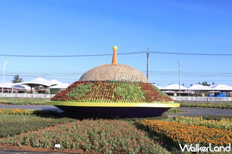 台中新社花毯節登場！7大展區、20萬株花草、23種花卉、交通路線，一次完整公開。