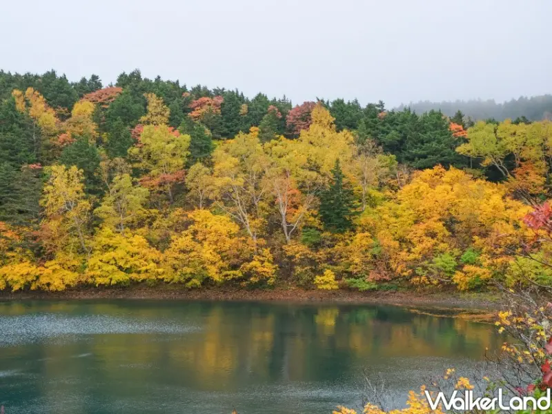 福島磐梯吾妻Skyline / WalkerLand窩客島整理提供 未經許可不可轉載。
