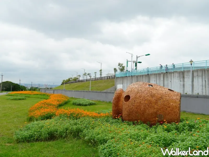 2024關渡花海 / WalkerLand窩客島整理提供 未經許可不可轉載。