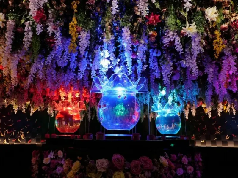 台北金魚藝術展 Art Aquarium in Taipei / WalkerLand窩客島整理提供 未經許可不可轉載。