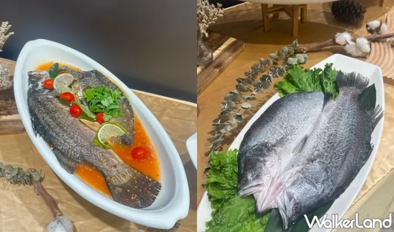 113年國產章Q活動開跑！農業部攜手晶宴會館獨家推廣國產水產，尾牙訂餐享海鮮升級體驗本地新鮮滋味。