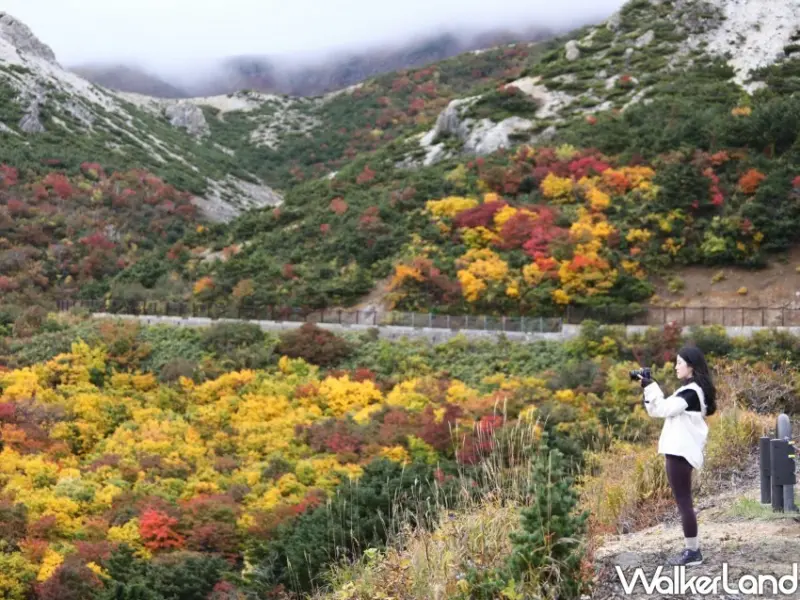 福島磐梯吾妻Skyline / WalkerLand窩客島整理提供 未經許可不可轉載。