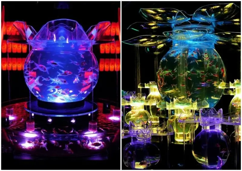 台北金魚藝術展 Art Aquarium in Taipei / WalkerLand窩客島整理提供 未經許可不可轉載。