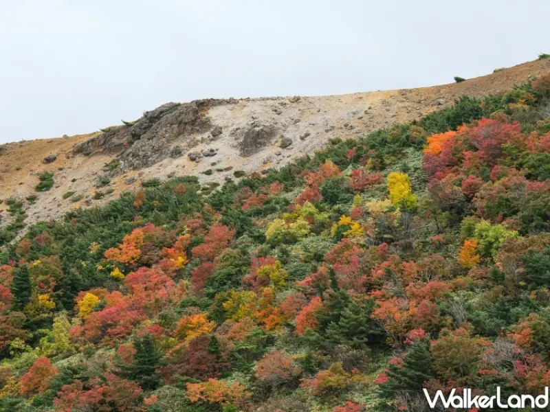 福島磐梯吾妻Skyline / WalkerLand窩客島整理提供 未經許可不可轉載。