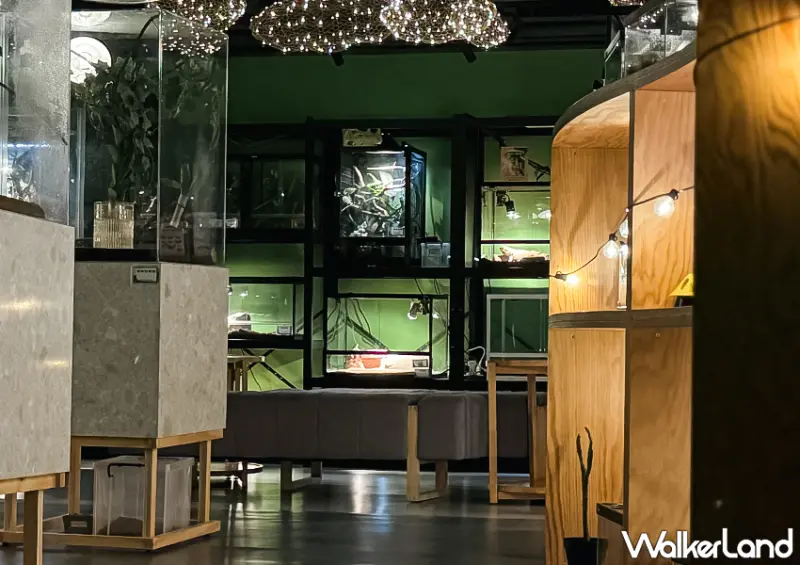 ▲▼台北酒吧「蟲蟲巴斯」平時為親子課程的生態教室，晚上才會搖身一變成為超酷的昆蟲酒吧 / WalkerLand窩客島整理提供​​​​​​​