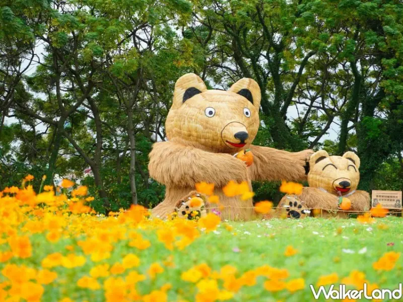 關渡秘境花海 / WalkerLand窩客島整理提供 未經許可不可轉載