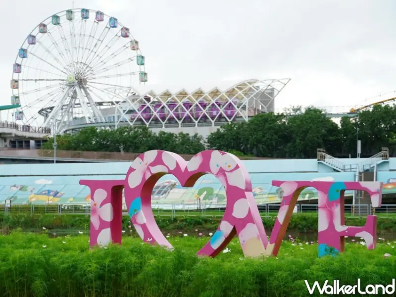 2024關渡花海 / WalkerLand窩客島整理提供 未經許可不可轉載。