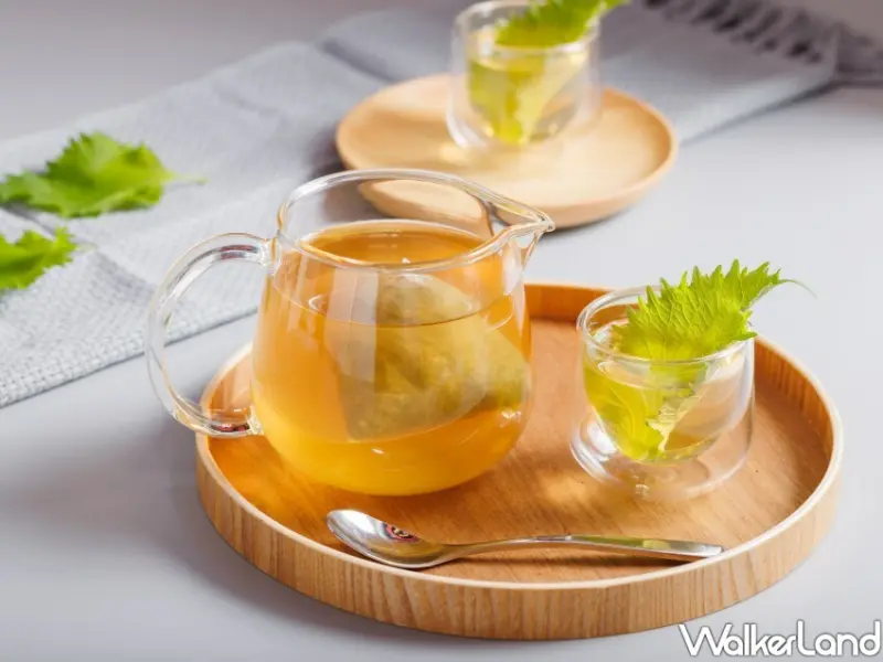 檀島 / WalkerLand窩客島整理提供 未經許可不可轉載。