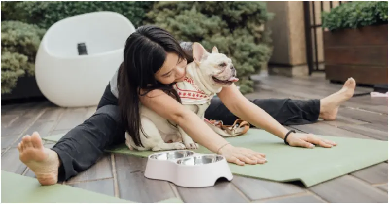 帶毛孩入住金普頓大安酒店！體驗丹麥設計美學與寵物友善服務。