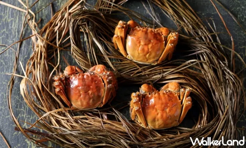 天香樓江南秋蟹套餐！新任主廚路凱源推出六種蟹品、十種手法詮釋江南美味料理。