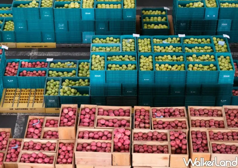 家樂福 青森蘋果季 / WalkerLand窩客島整理提供 未經許可不可轉載。