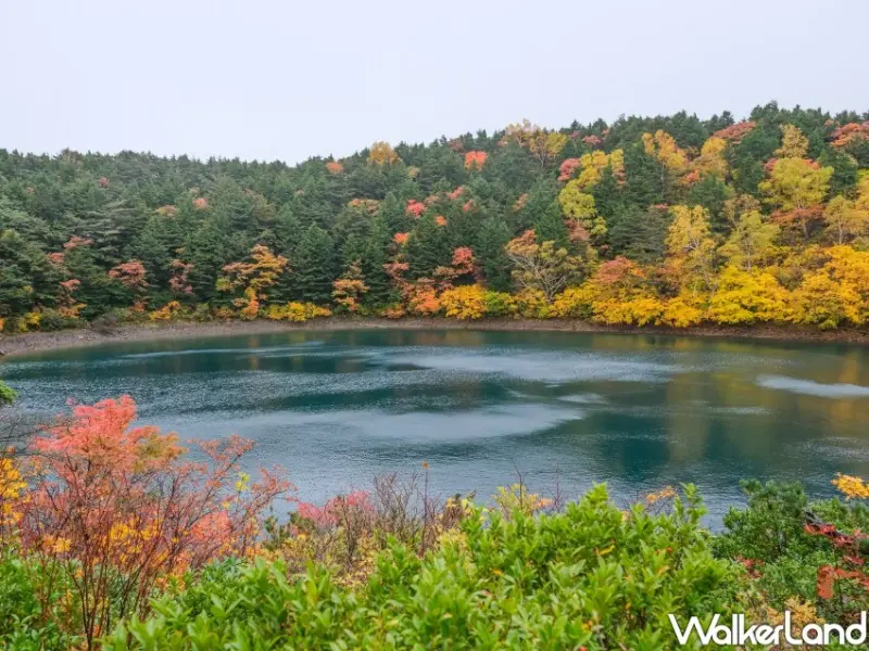 福島磐梯吾妻Skyline / WalkerLand窩客島整理提供 未經許可不可轉載。