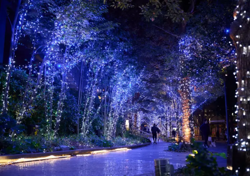 ▲於即日起，「東京晴空塔城 夢幻聖誕2024」將正式展開/ 圖片來源：東京晴空塔城