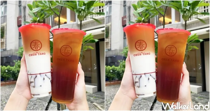 春陽茶事 炭焙烏龍系列  / WalkerLand窩客島提供 未經許可，不得轉載