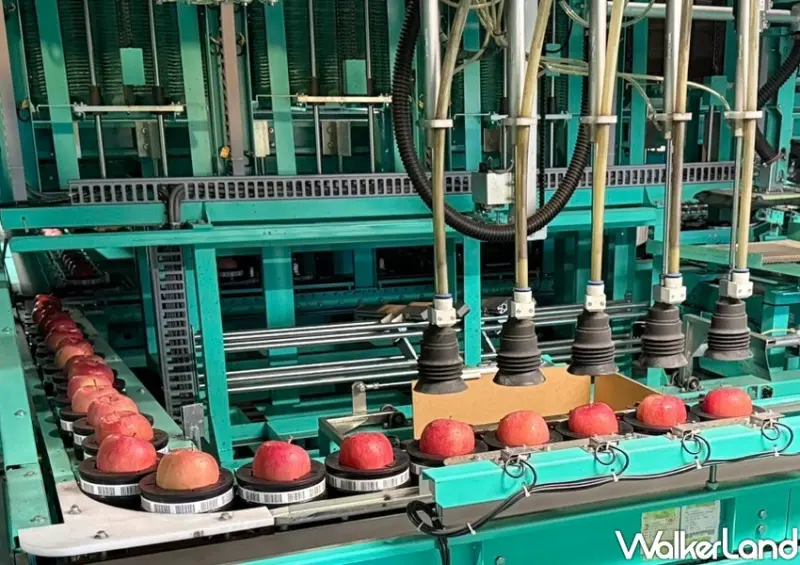 家樂福 青森蘋果季 / WalkerLand窩客島整理提供 未經許可不可轉載。