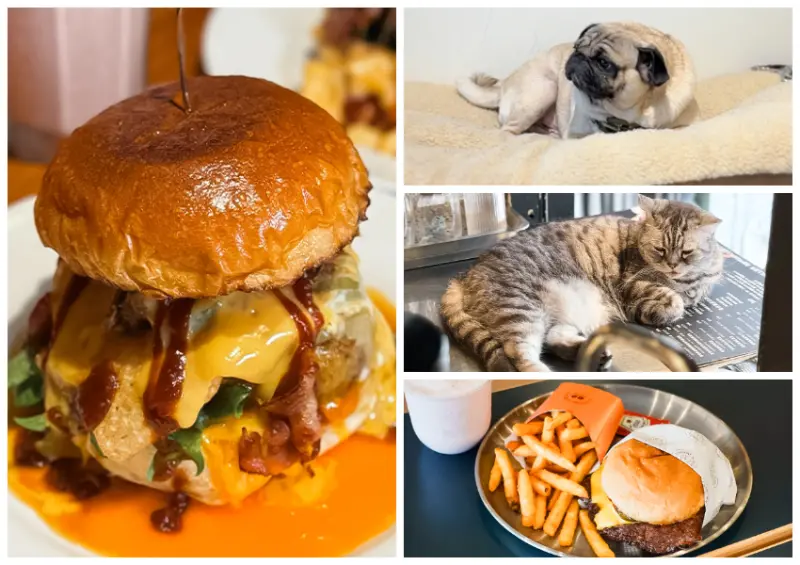 ▲台北的漢堡控看過來！這次精選7家超有特色的美式漢堡店 / WalkerLand窩客島整理提供​​​​​​​