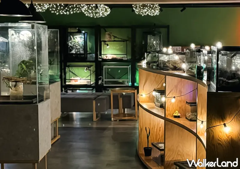 ▲▼全台首間昆蟲酒吧！台北酒吧「蟲蟲巴斯」位在民生社區商圈 / WalkerLand窩客島整理提供​​​​​​​