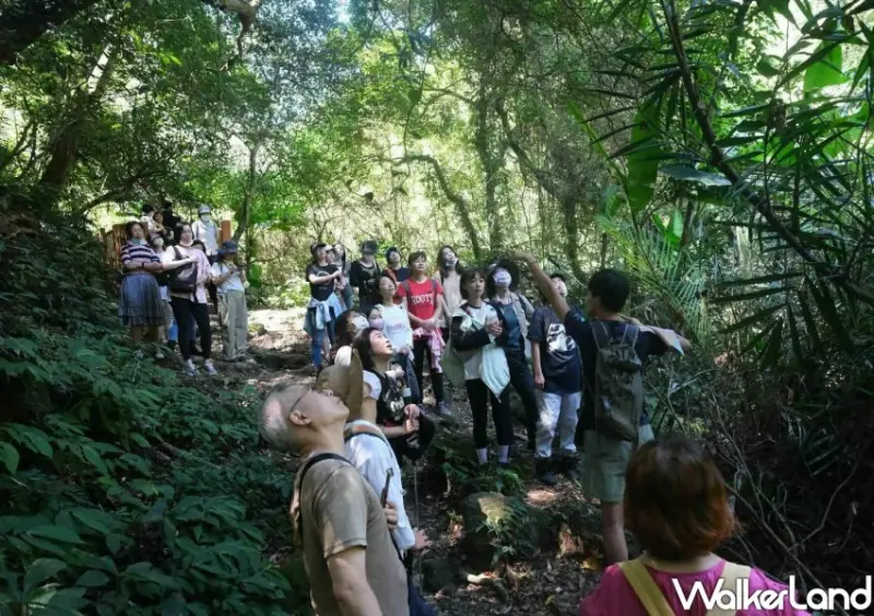 2024台北白晝之夜 / WalkerLand窩客島整理提供 未經許可不可轉載。