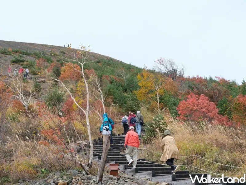 福島磐梯吾妻Skyline / WalkerLand窩客島整理提供 未經許可不可轉載。