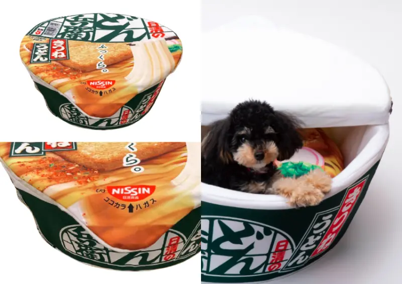 ▲▼日清烏龍麵「SNS話題商品化活動」分成兩梯次，共抽出2,910名幸運得主 / 日清のどん兵衛提供、WalkerLand窩客島整理​​​​​​​​​​​​​​